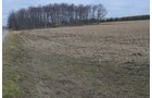 Property photo 46 - 98+/- Acres Offered in 6 Tracts or Combinations, Noble County, Indiana Farm